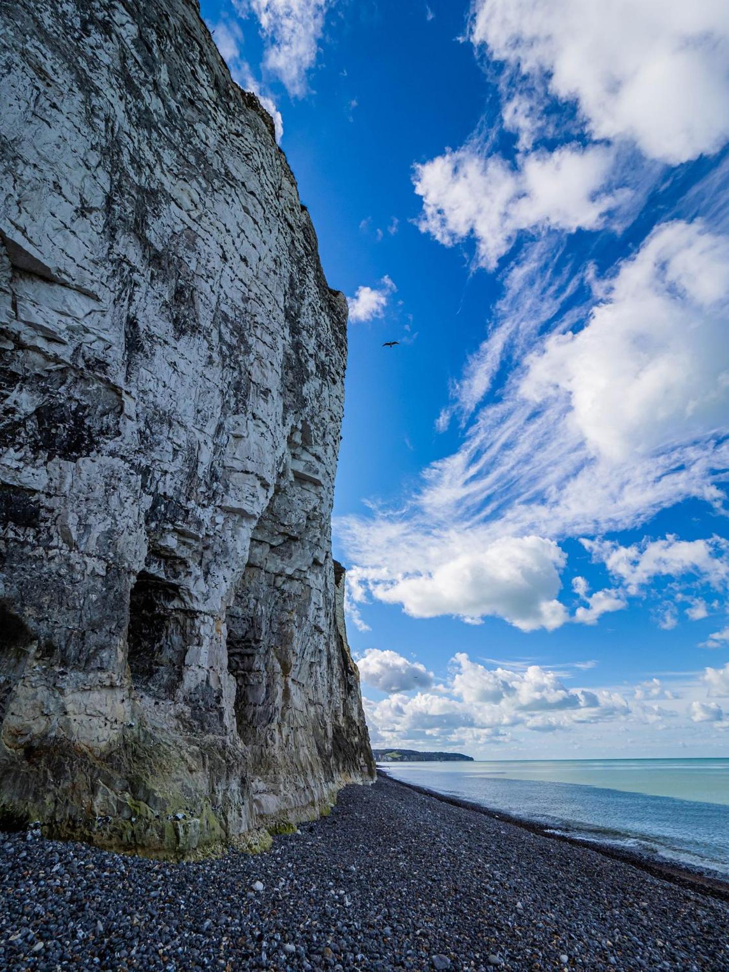 Le Nid Dieppois - Sur Les Quais De Dieppe, Entre Port & Plage Eksteriør bilde